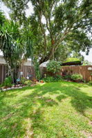 Backyard2