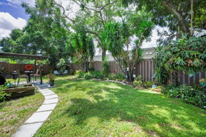 Backyard3