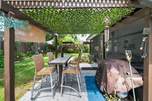 Backyard10