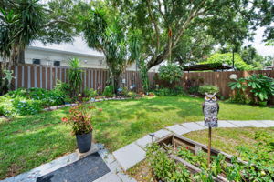 Backyard11