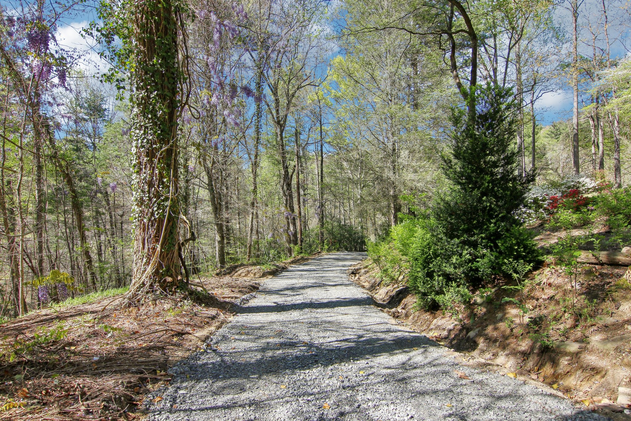 Hebron Rd-1604-054.jpg