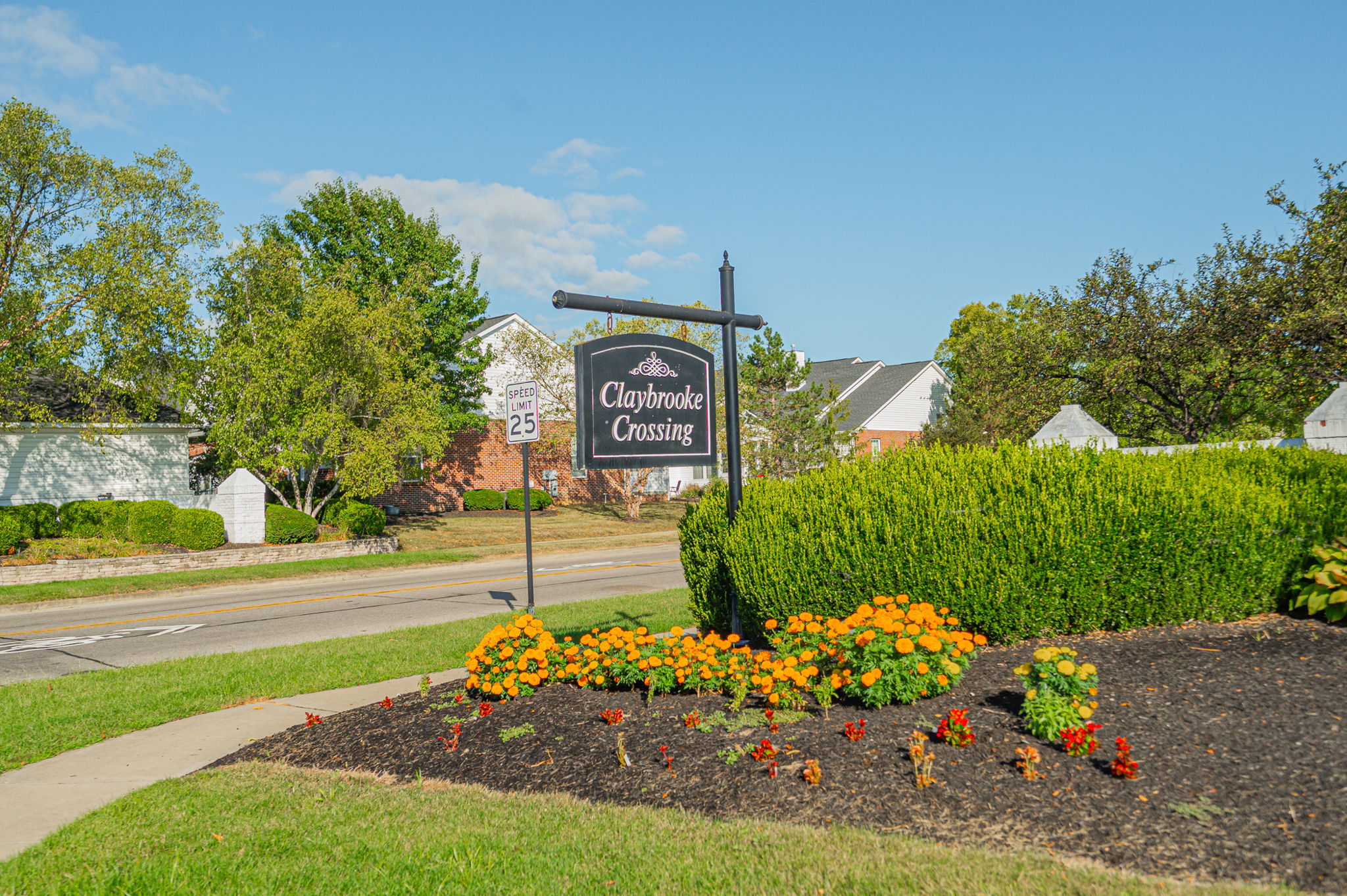 3234 Callie Marie Dr 050