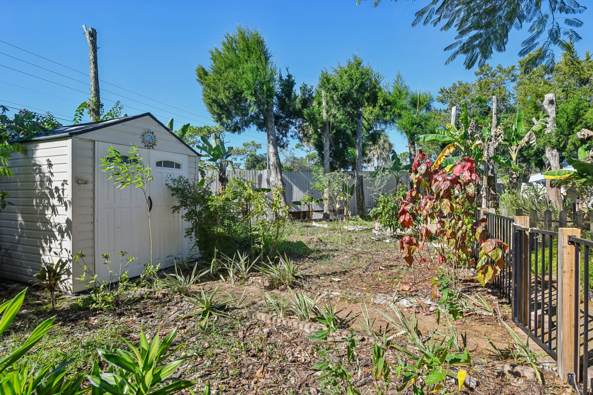 Knottypine Ave-S2911-040.jpg