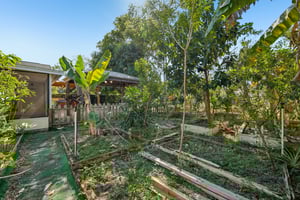 Knottypine Ave-S2911-038.jpg