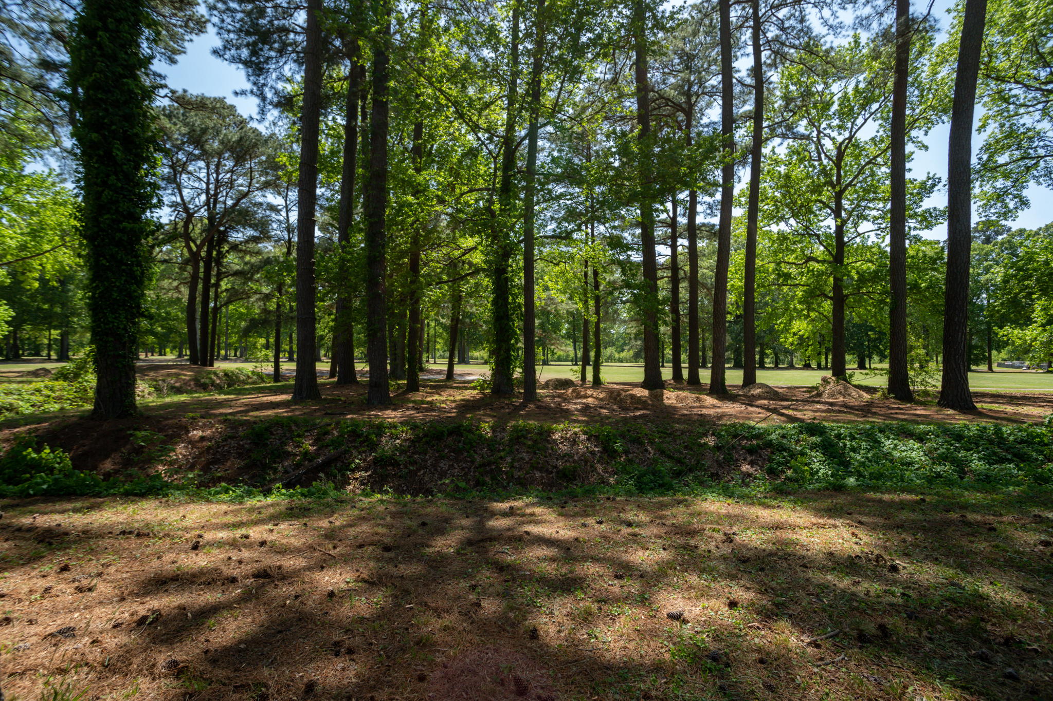 3237 Club House Rd, Virginia Beach, VA 23452, USA Photo 23