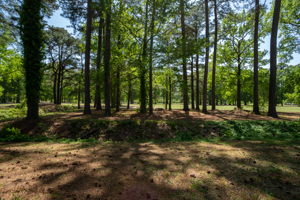 3237 Club House Rd, Virginia Beach, VA 23452, USA Photo 22