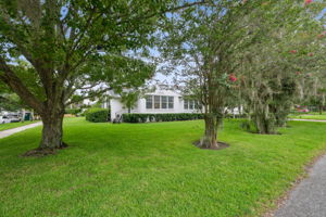Side Yard