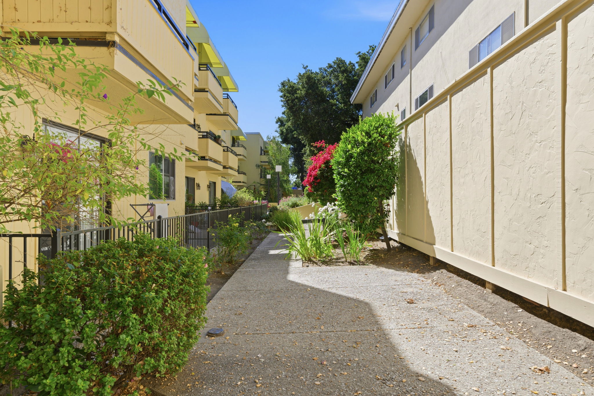 026_F8_324 Catalpa St 120