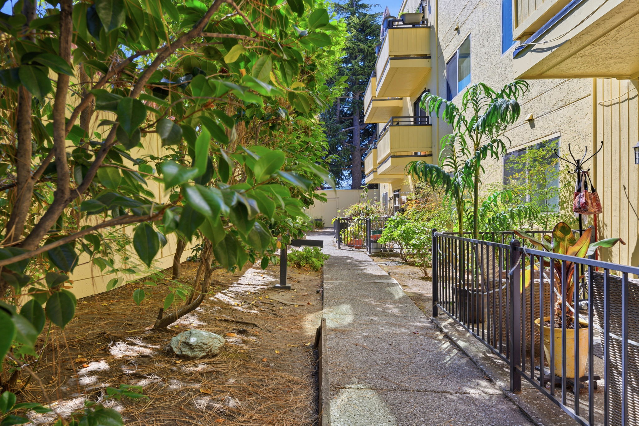 030_F8_324 Catalpa St 120