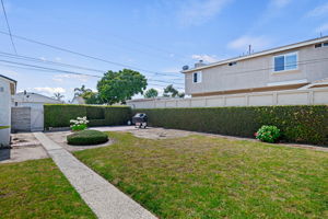 19 - Back Yard