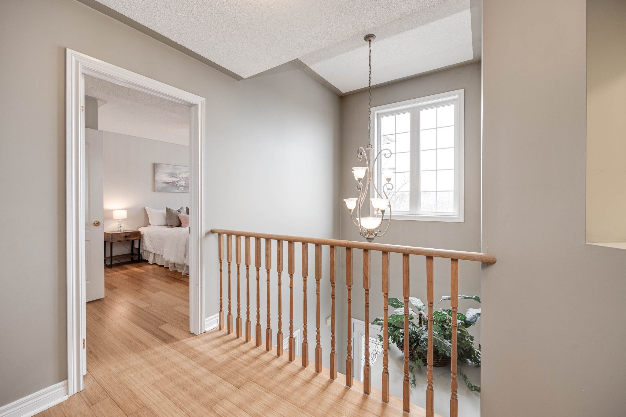 Newmarket property showcase — delivered property photograph 42