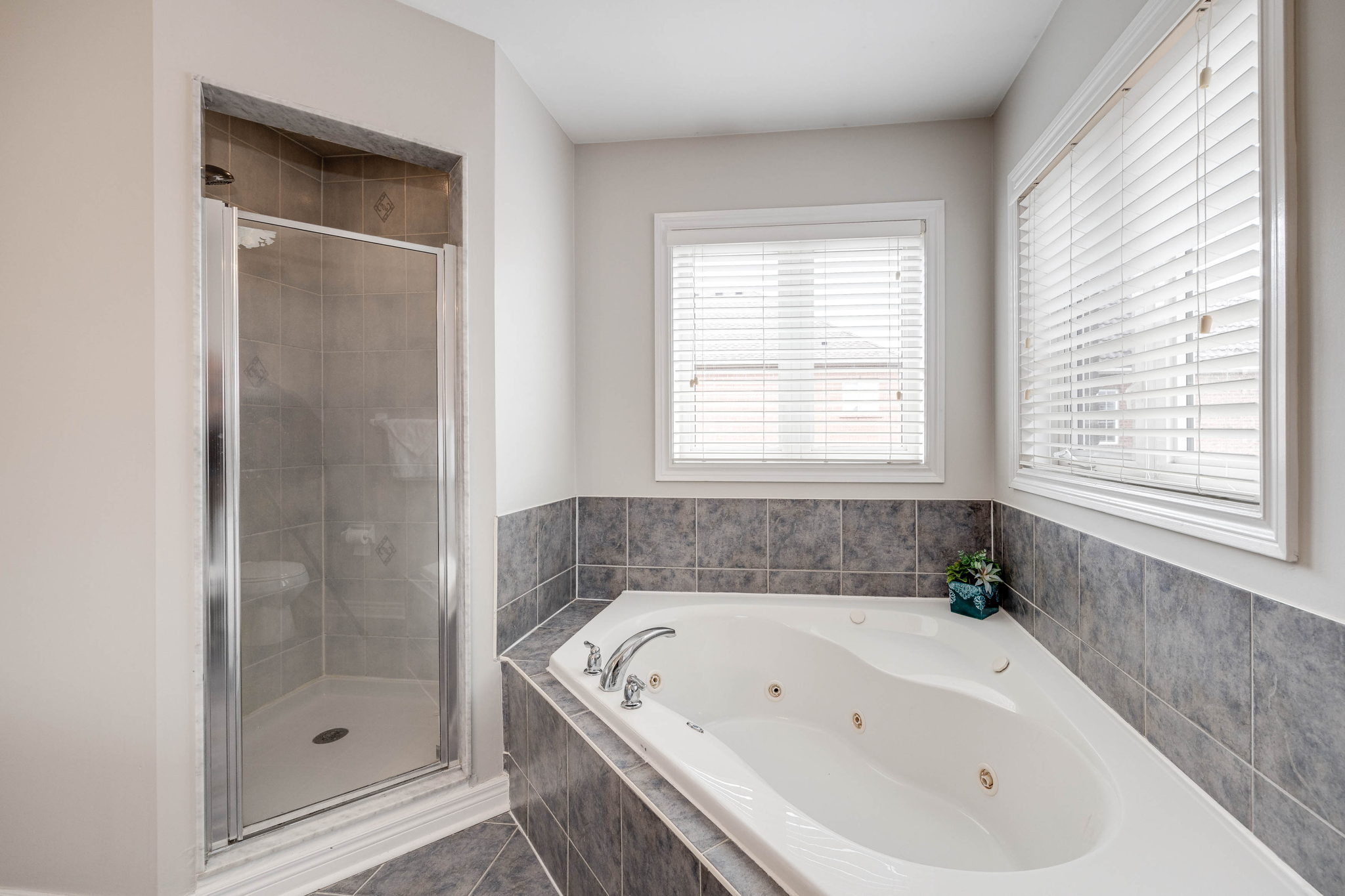 Newmarket property showcase — delivered property photograph 33