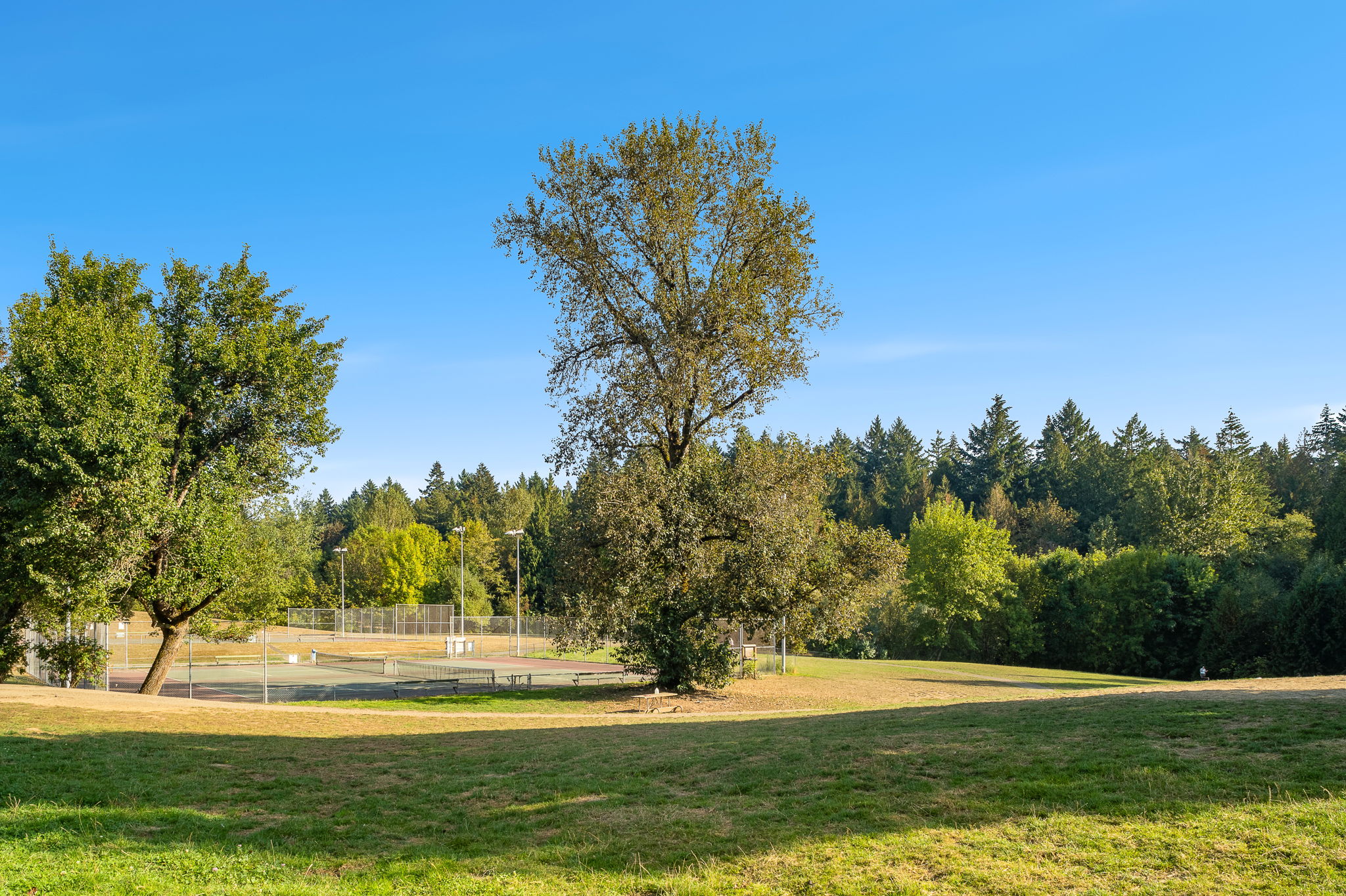 Gabriel Park 3