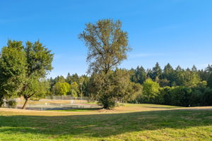 Gabriel Park 3
