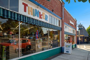 Thinker Toys 2