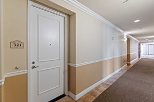 Photo-5