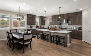 Highly upgraded chef's kitchen with designer backsplash