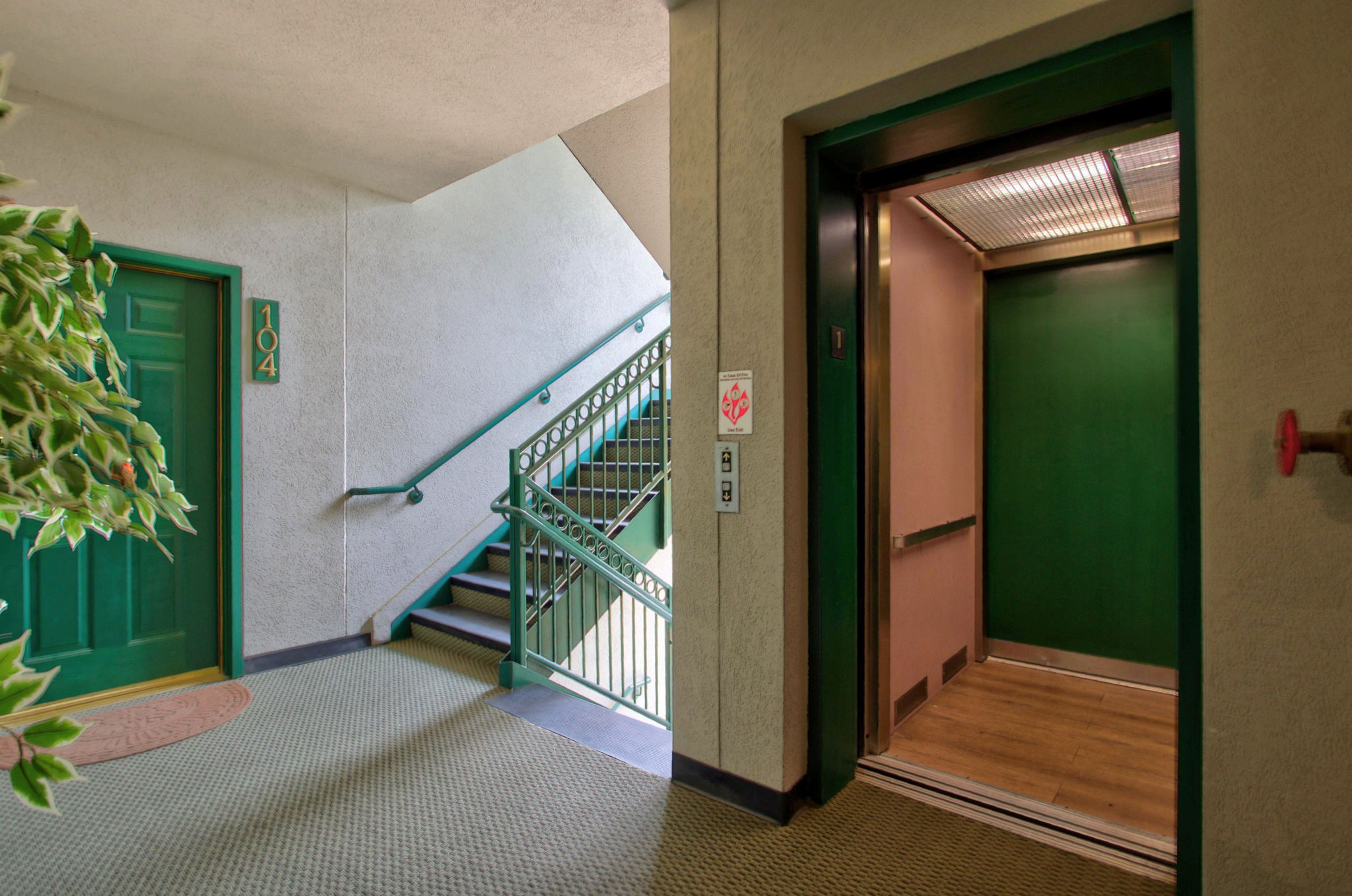  Photo 41