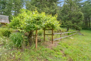  Photo 39