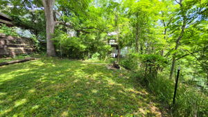  Photo 49