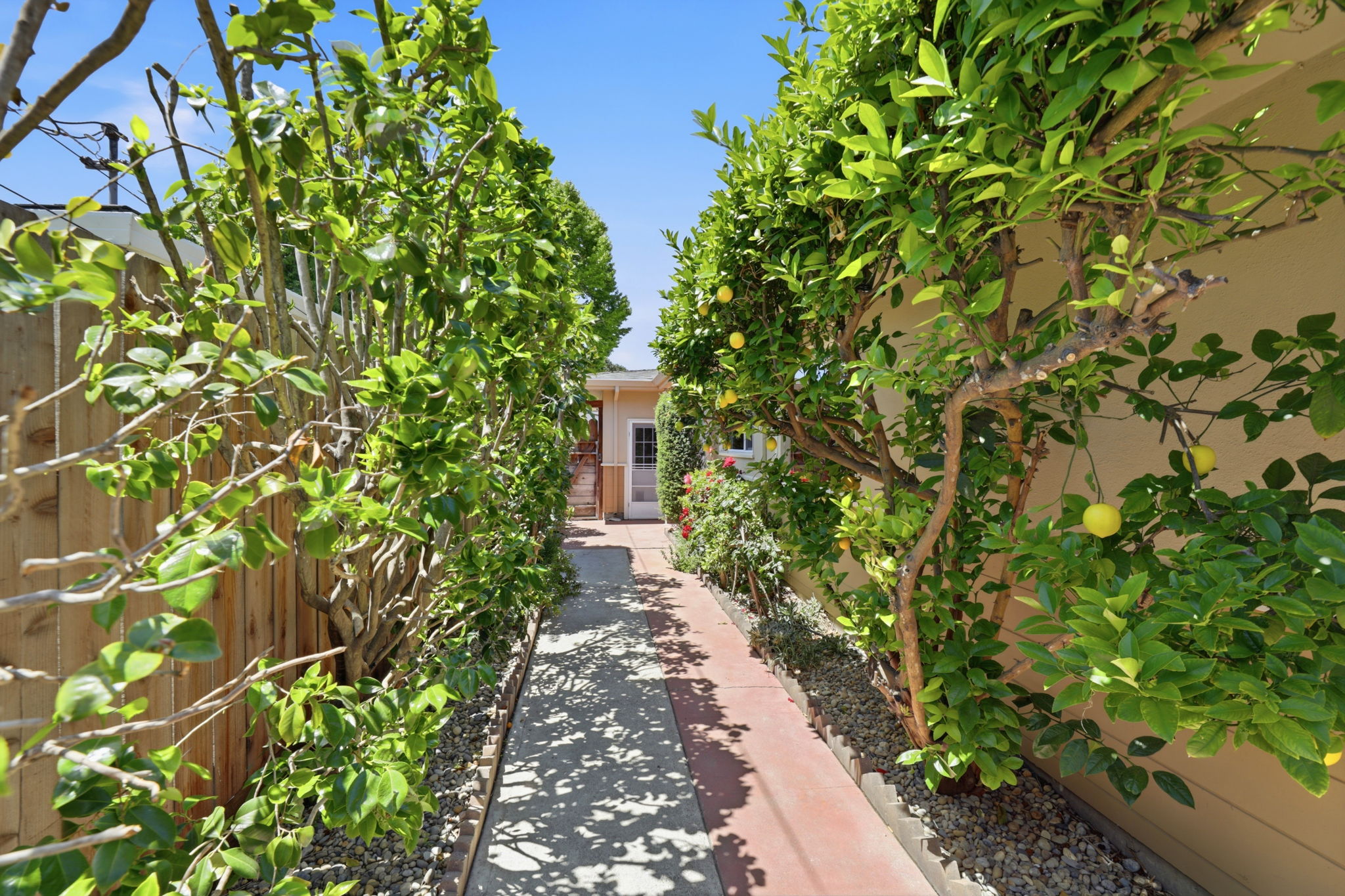 042_F8_325 San Vincente Ave