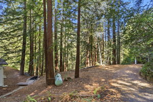 054_F8_325 Woodland Dr