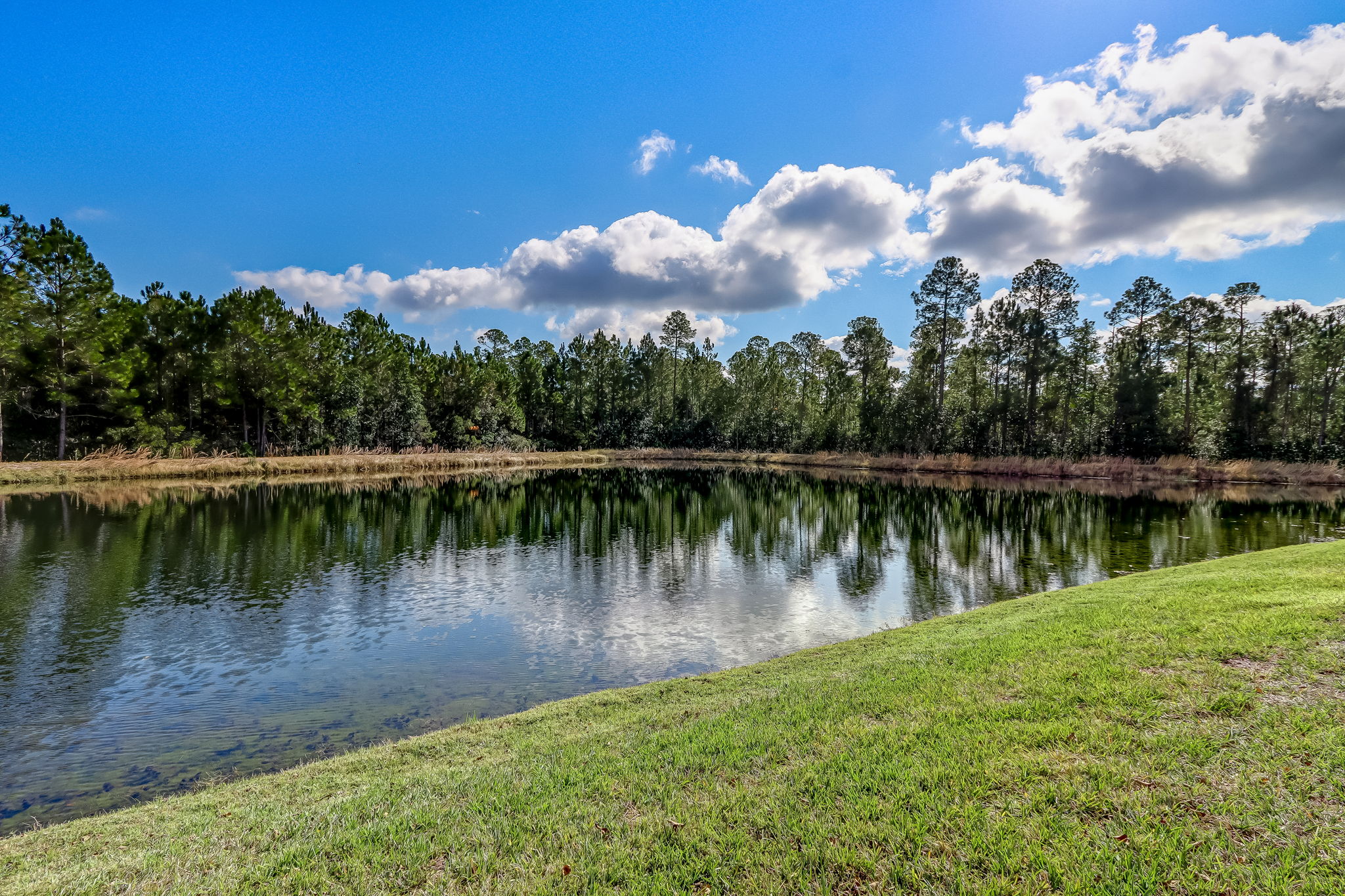 Lake View