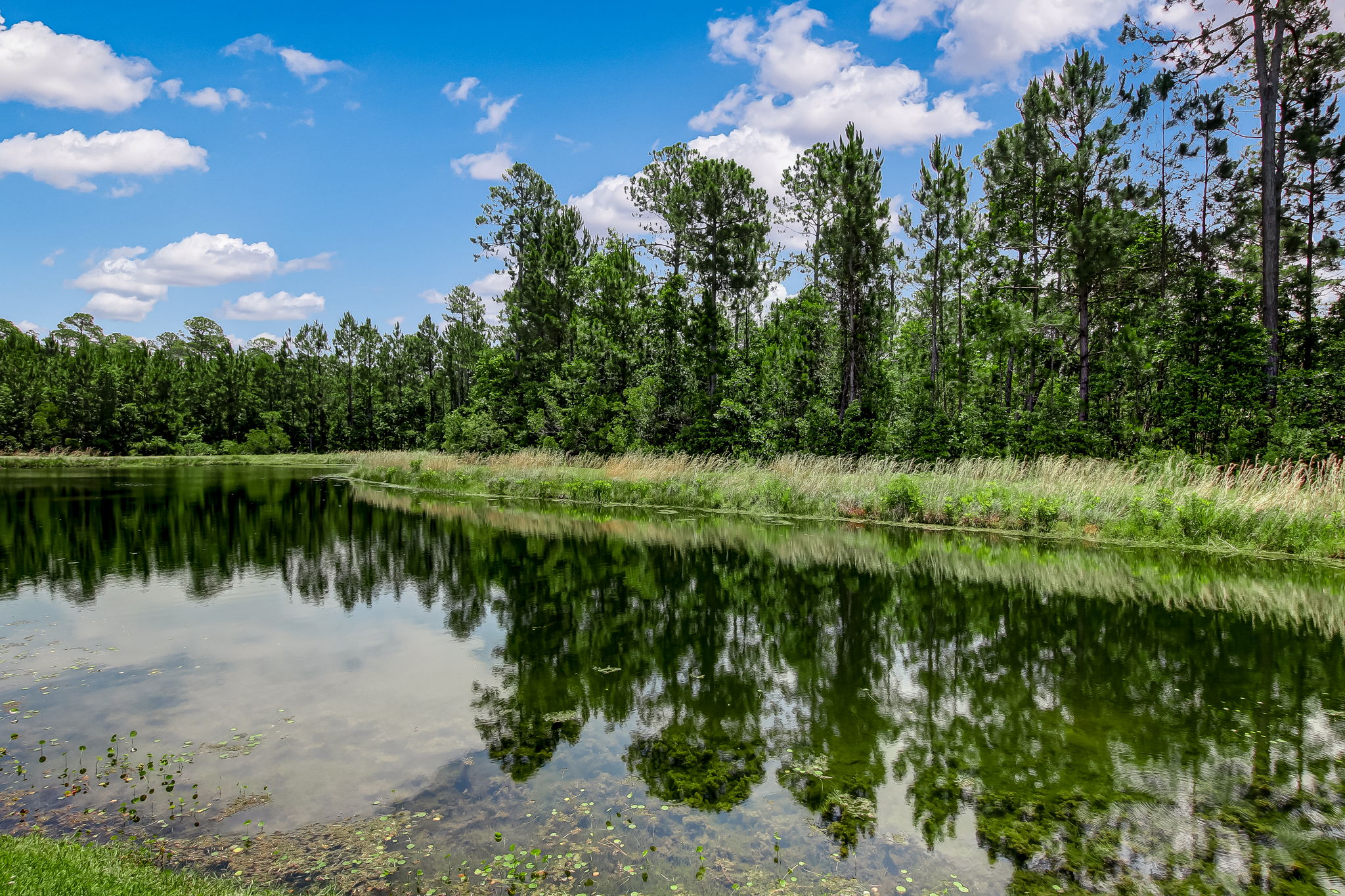 Lake View