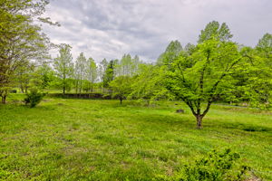  Photo 49