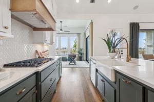 Bluet Lk Dr-S2101-010.jpg