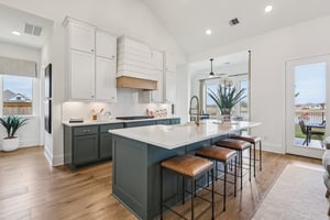 Bluet Lk Dr-S2101-011.jpg