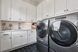 Bluet Lk Dr-S2101-015.jpg