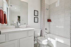 Bluet Lk Dr-S2101-021.jpg