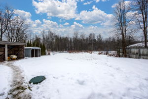  Photo 49