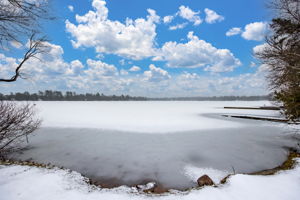 Photo 50