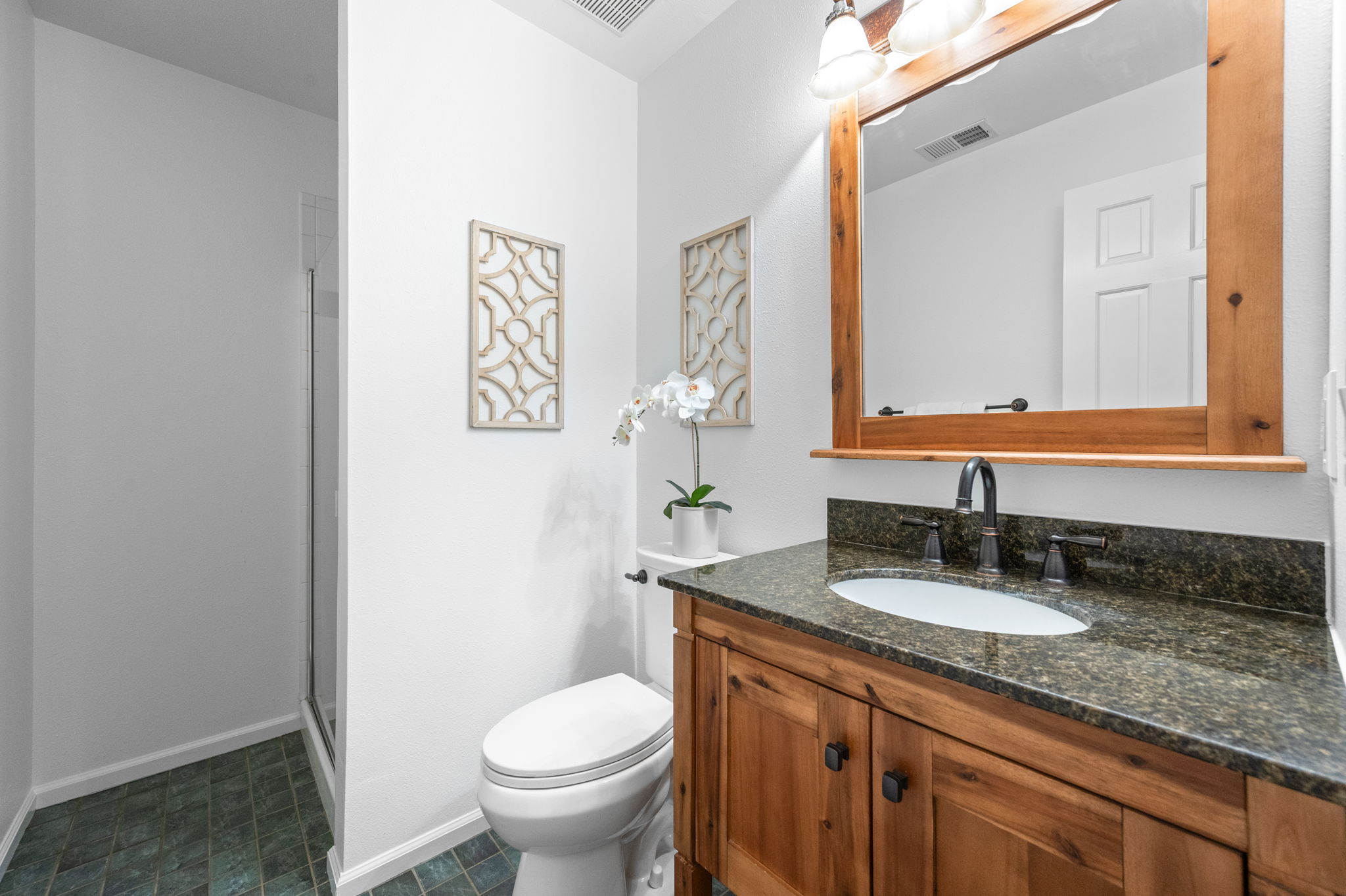 Lower Level - Bathroom