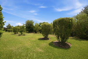  Photo 37