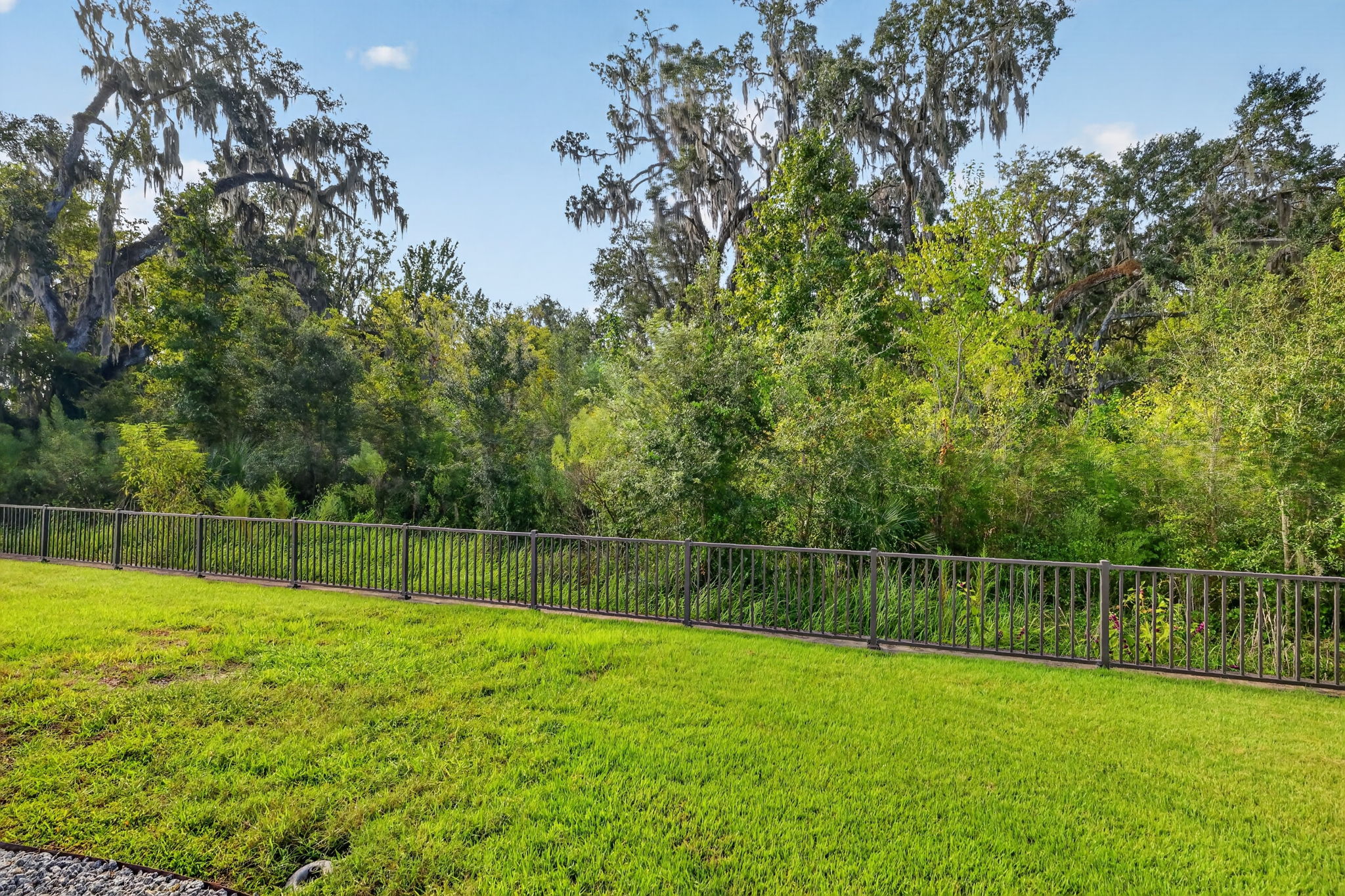 Rear Yard with TRANQUIL PRERVE VIEWS
