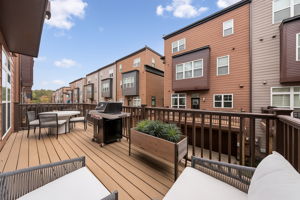 Main Level Deck