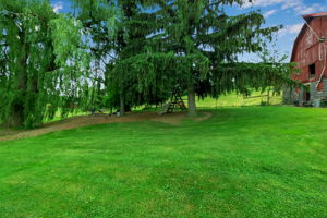  Photo 37