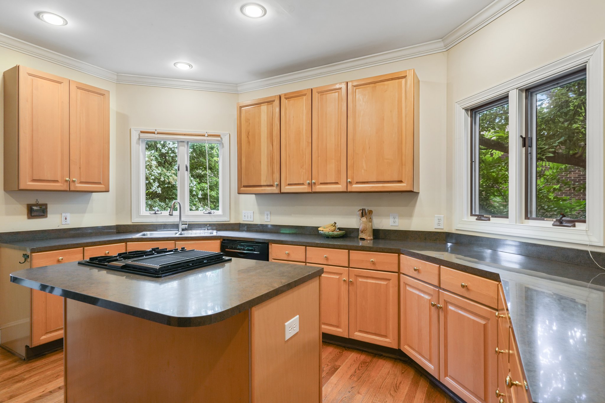 Ponderosa Cir-S2107-022.jpg