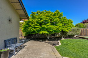 3261 Montevideo Dr, San Ramon, CA 94583, USA Photo 35
