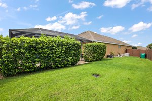 Rear/Side Yard