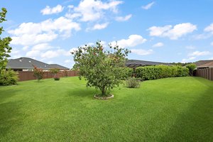 Rear/Side Yard