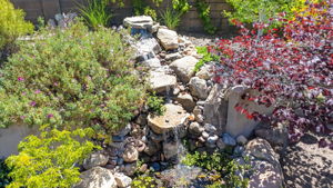  Photo 49