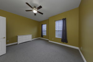  Photo 91