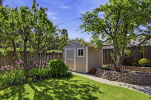  Photo 53
