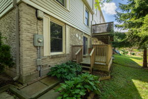  Photo 46