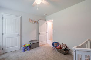  Photo 31