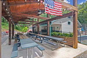  Photo 44